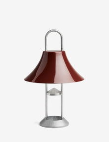 Mousqueton portable lamp