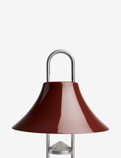 Mousqueton portable lamp