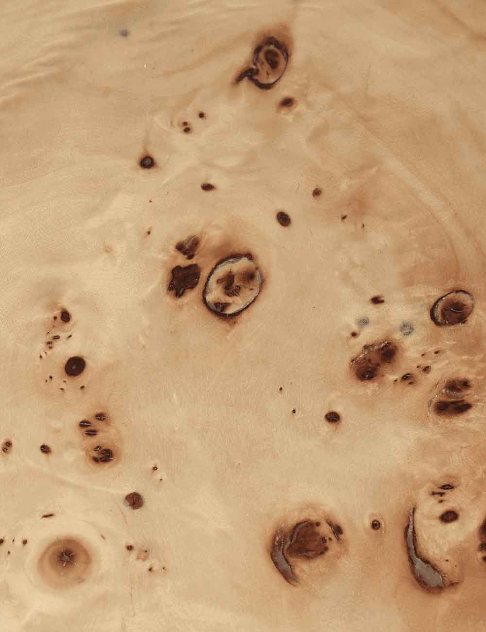 BURL POST COFFEE TABLE