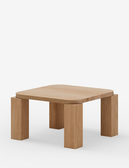 ATLAS COFFEE TABLE 60x60